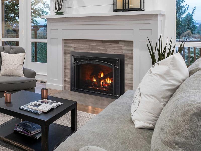 Escape Gas Fireplace Insert
